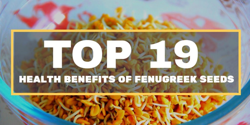 fenugreek seeds health benefits