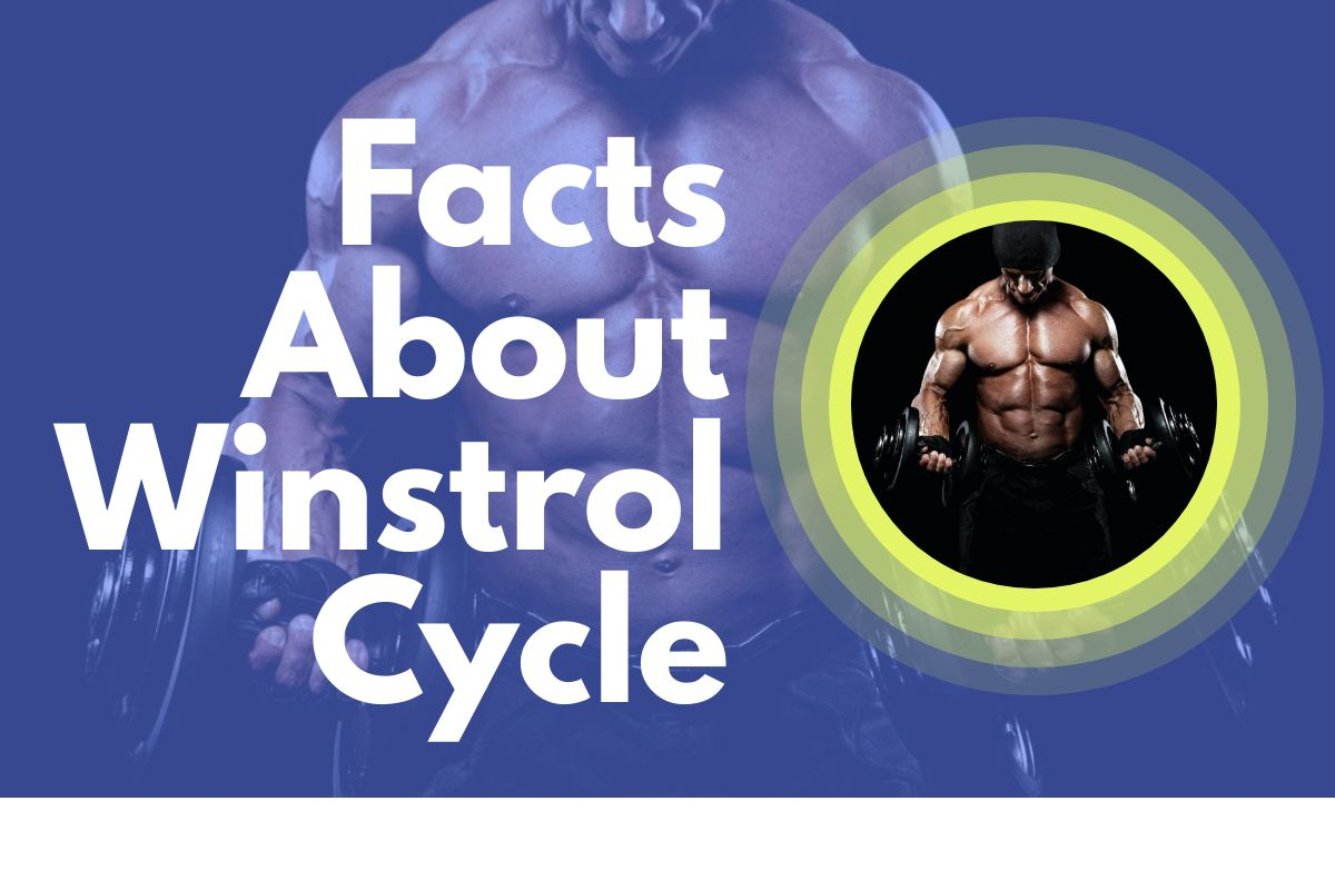 Winstrol Cycle to apply on your body
