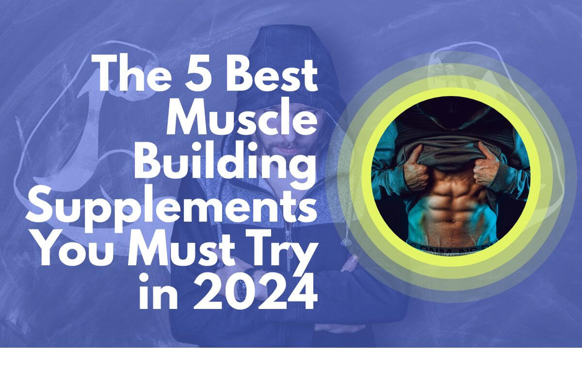 5 best muscle building supplements for men